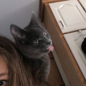 Meet your Posher, Isabela